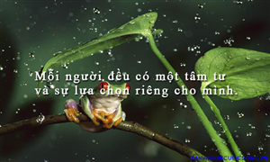 DUYÊN MAY VÀ SỰ LỰA CHỌN